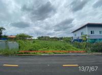 ที่ดินว่างเปล่าหลุดจำนอง ธ.ธนาคารกสิกรไทย หนองเพรางาย ไทรน้อย นนทบุรี